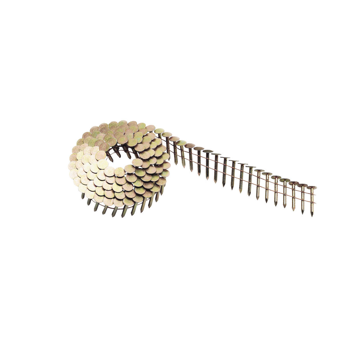 Coil Nails